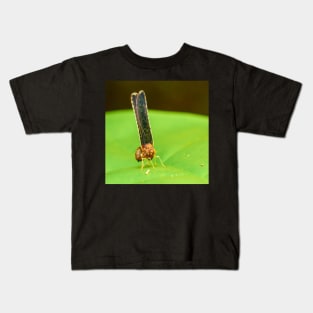 Unique and organic photo of a Anotia spp Derbid planthopper Kids T-Shirt